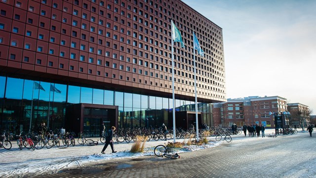 campus-valla-vinterljus-20191202-liu-3678.jpg
